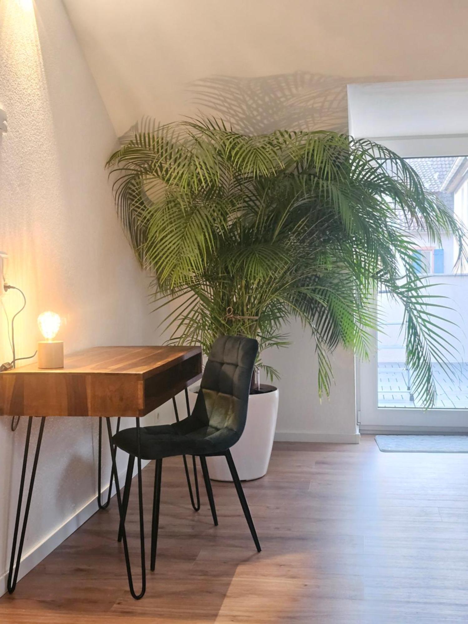 Design-Penthouse I 90Qm I Europapark 20 Min I Boxspring I Nespresso I Parking Lejlighed Lahr  Eksteriør billede